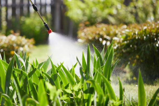 24/7 Emergency Mosquito Control experts in Harveys Lake, PA